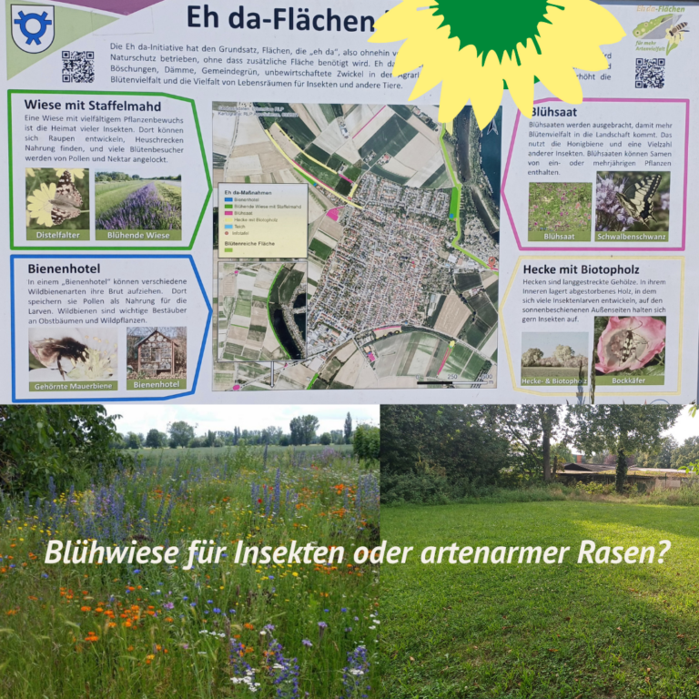 Artenschutz mit Eh Da Flächen