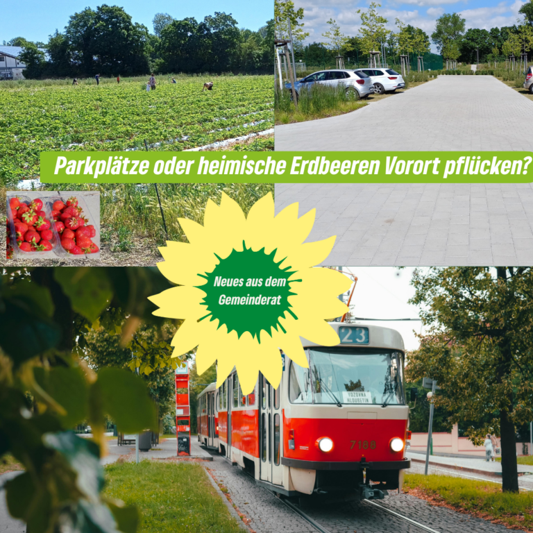 Gemeinderatssitzung 25.11.2025