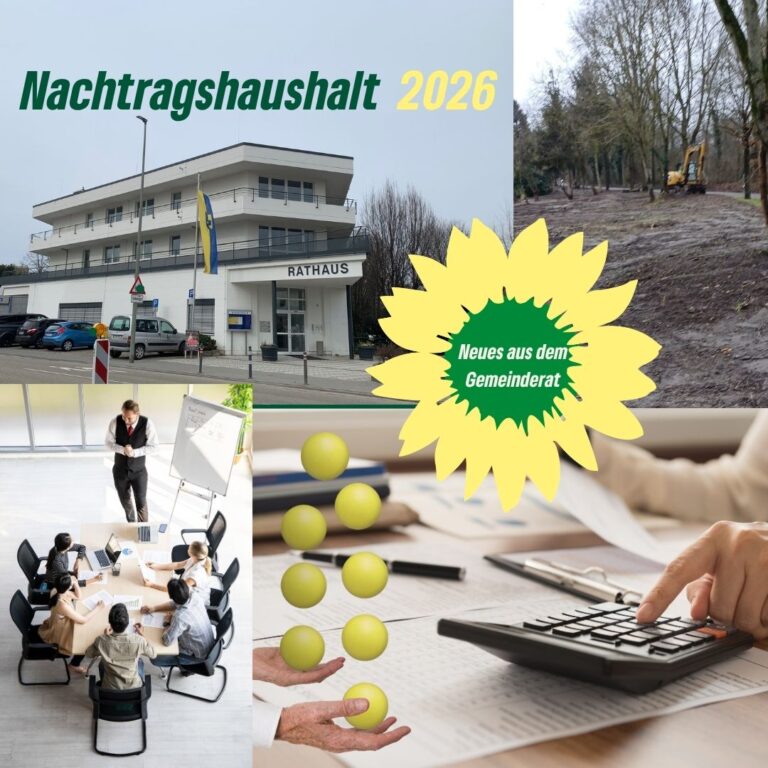 Gemeinderatssitzung 11.08.2026